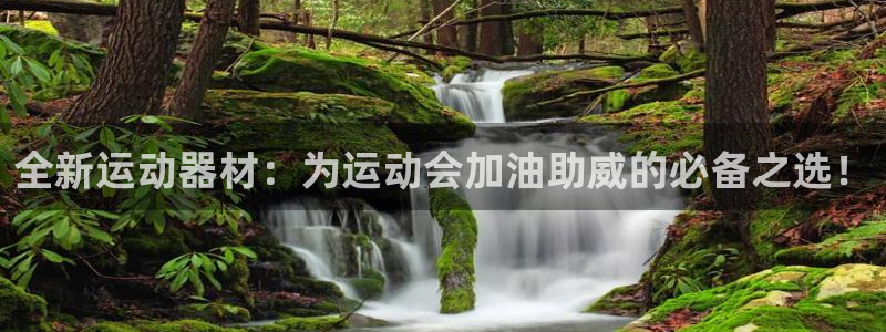 BWIN体育官网下载是干嘛的公司