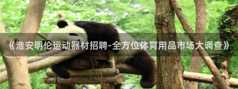 BWIN体育官方正版app娱乐首页网站大全：《淮安明伦运动器