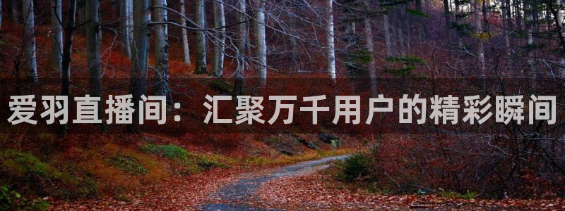 劲爆体育直播在线观看高清：爱羽直播间：汇聚万千用户的精彩瞬间