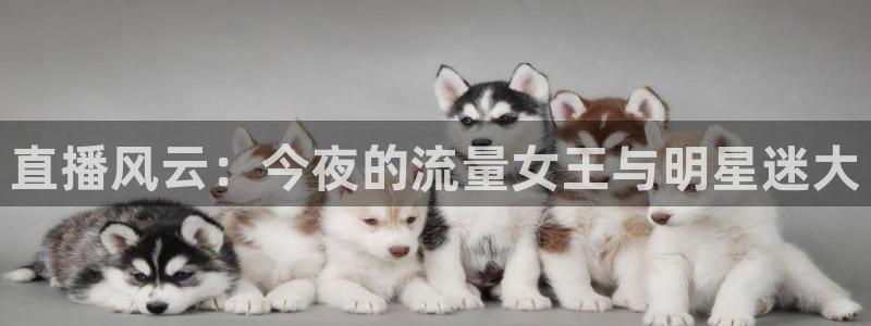 nba劲爆体育直播：直播风云：今夜的流量女王与明星迷大