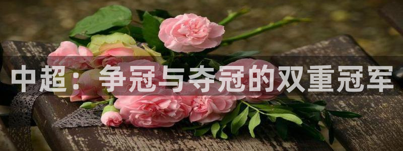五星劲爆体育在线直播观看：中超：争冠与夺冠的双重冠军