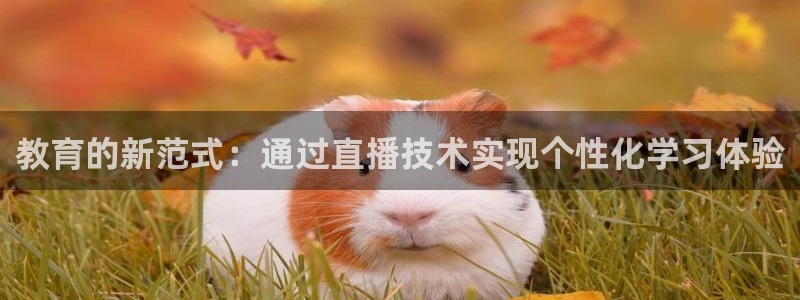 劲爆体育免费直播nba新的好游戏.认证网.org：教育的新范式：通过直播技术实现个性化学习体验