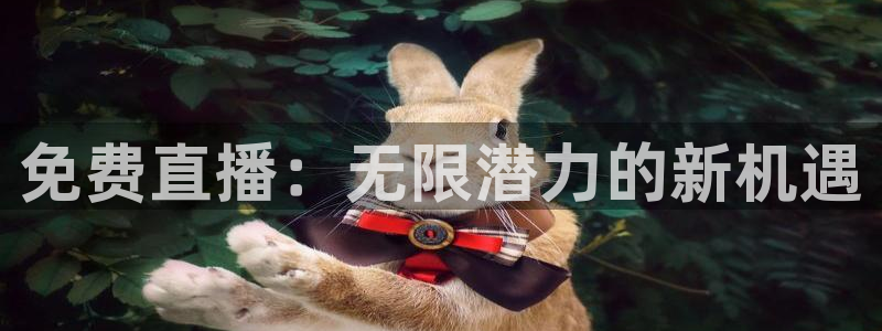 劲爆体育直播在线观看斗地主：免费直播：无限潜力的新机遇