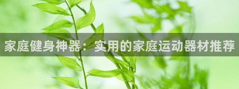 德国BWIN体育官方正版app集团：家庭健身神器：实用的家庭