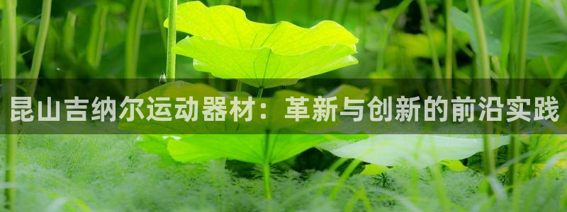 BWIN体育官网下载招商电话号码：昆山吉纳尔运动器材：革新与