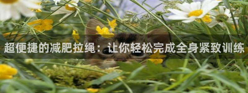 BWIN体育官网下载平台注册要钱吗是真的吗：超便捷的减肥拉绳
