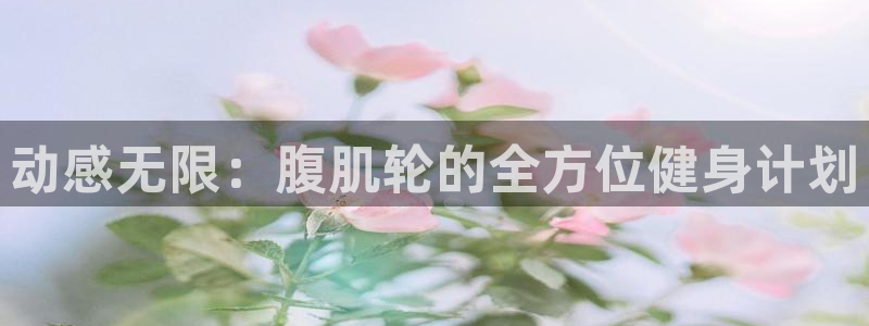 BWIN体育官方正版app集团：动感无限：腹肌轮的全