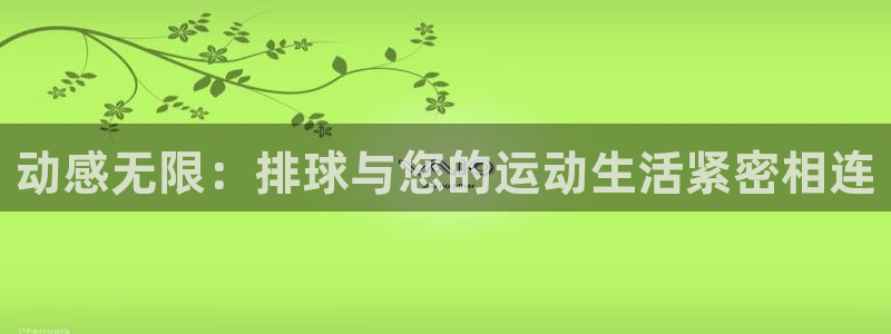 BWIN体育官方正版app集团E.ON：动感无限：排球与您的