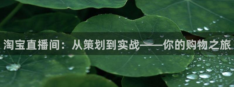 劲爆体育高清在线直播观看