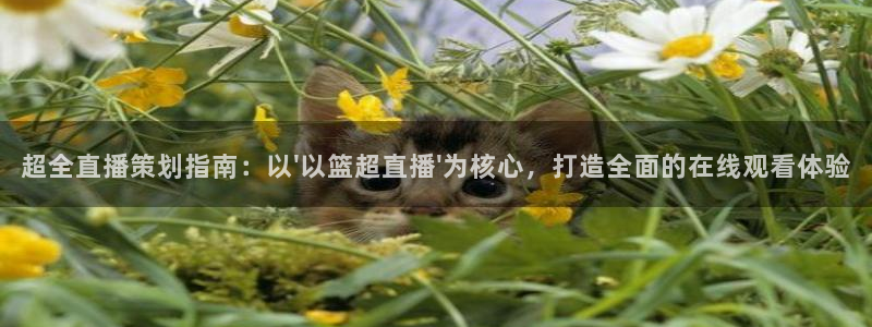 五星劲爆体育在线直播观看