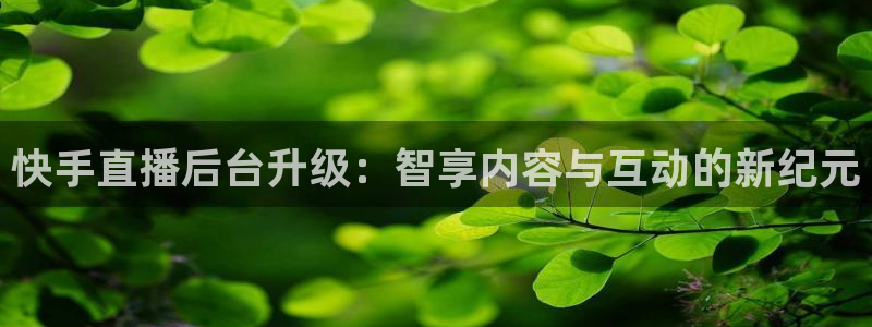 劲爆体育高清免费直播观看