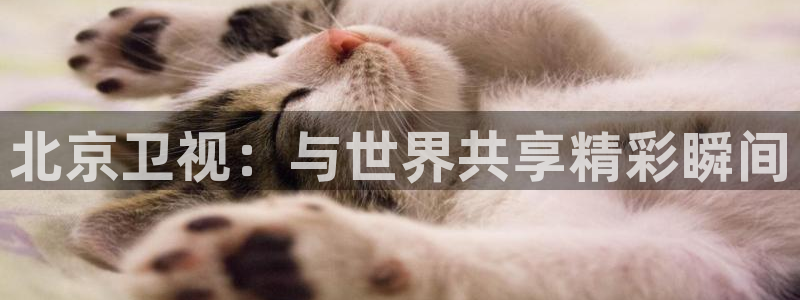 劲爆体育免费观看：北京卫视：与世界共享精彩瞬间