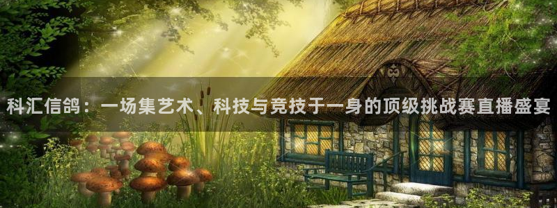 劲爆体育节目表直播