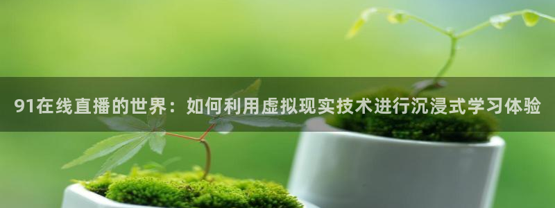 nba在线高清 劲爆体育：91在线直播的世界：如何利用虚拟现实技术进行沉浸式学习体验