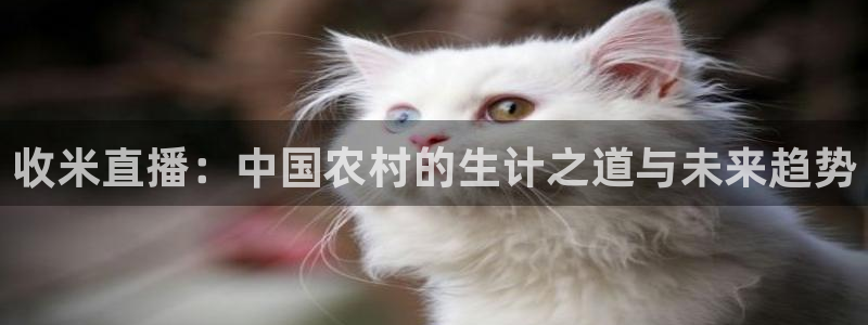 劲爆体育频道在线直播：收米直播：中国农村的生计之道与未来趋势